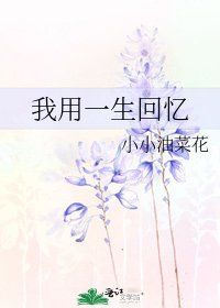 《我用一生回忆》
