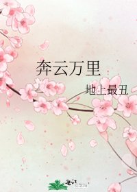 《奔云万里》