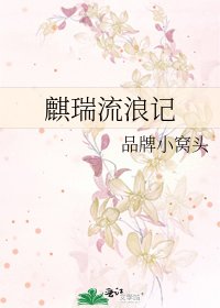 《麒瑞流浪记》