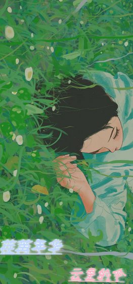 《荏苒年华》