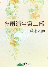 《夜雨缁尘第二部》