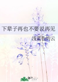《下辈子再也不要说再见》