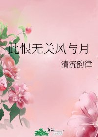 《此恨无关风与月》
