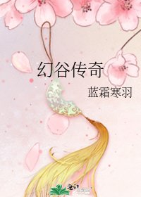 《幻谷传奇》