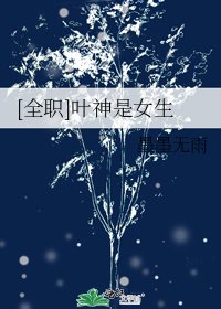 [全职]叶神是女生