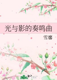《光与影的奏鸣曲》