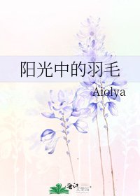 《阳光中的羽毛》