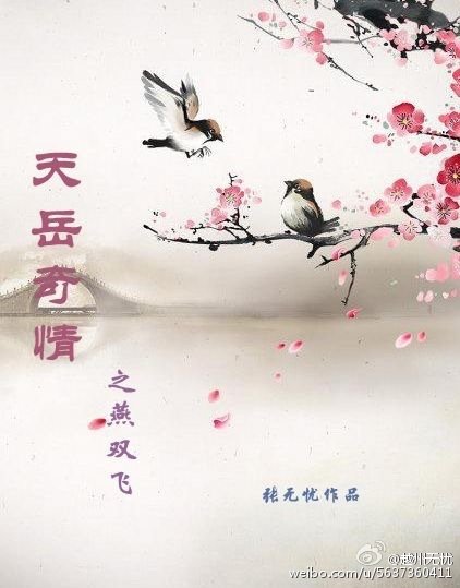 《天岳奇情之风起边塞》