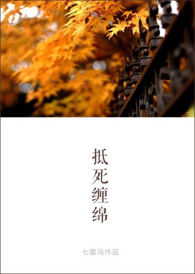 言不由衷