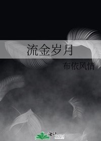 《流金岁月》