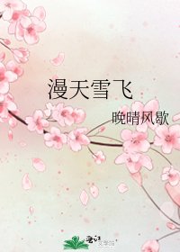 漫天雪飞