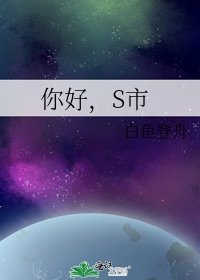 你好，S市
