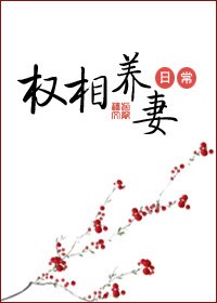 《权相养妻日常》