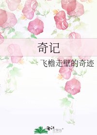 《奇记》