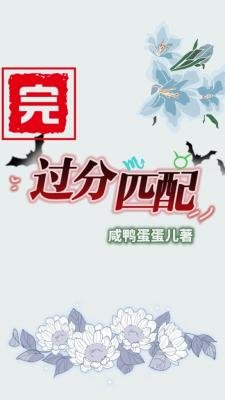 《过分匹配》