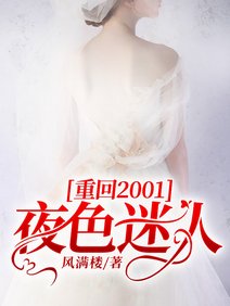 《重回2001:夜色迷人》