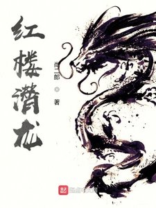 《红楼潜龙》