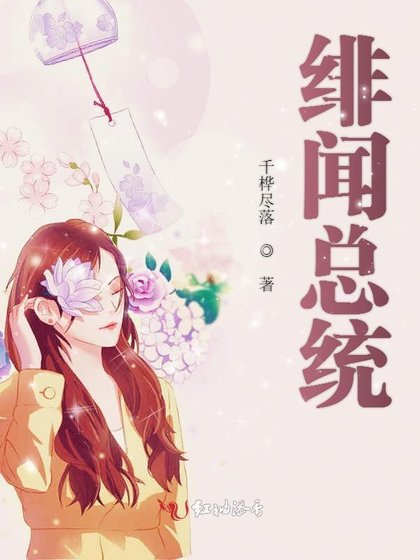 《绯闻总统》