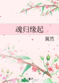 《魂归缘起》