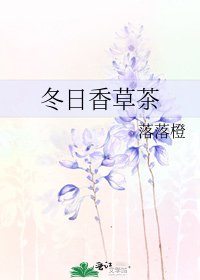 《冬日香草茶》