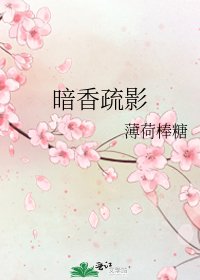 《暗香疏影》