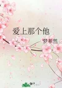《爱上那个他》
