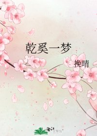 《乾奚一梦》