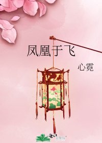 《凤凰于飞》