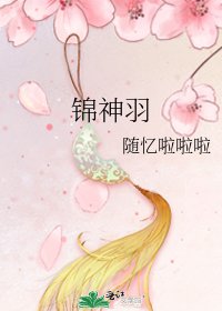 《锦神羽》