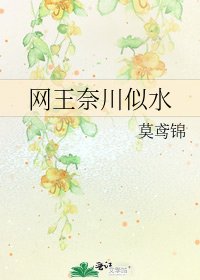 《网王奈川似水》