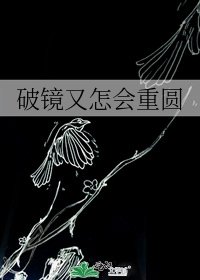 《破鏡又怎會重圓》