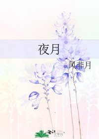 《夜月》