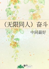 《(无限同人)奋斗》