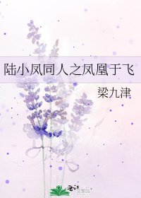 《陆小凤同人之凤凰于飞》