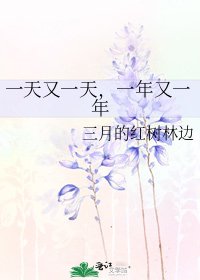 《一天又一天,一年又一年》
