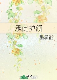 《承此护额》