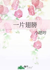 《一片翅膀》