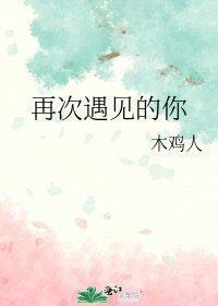 《再次遇见的你》