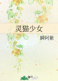 《灵猫少女》