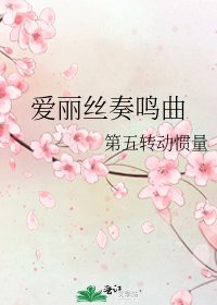 《爱丽丝奏鸣曲》