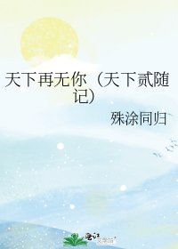 《天下再无你(天下贰随记)》