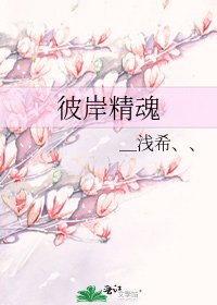 《彼岸精魂》