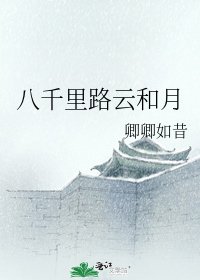 《八千里路云和月》