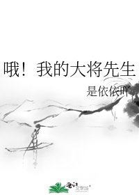 《哦!我的大将先生》