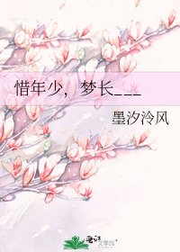 《惜年少,梦长___》