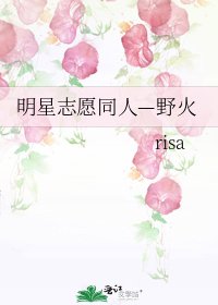 《明星志愿同人—野火》