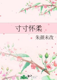 《寸寸怀柔》