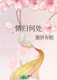 《情歸何處》