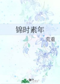 《锦时素年》