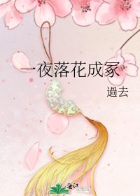 《一夜落花成冢》